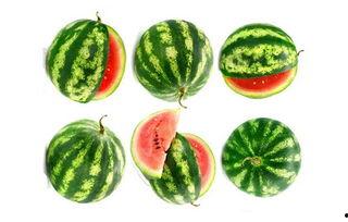 快乐网红吃瓜图片大全,快乐美食图鉴