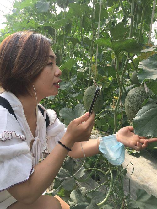 新疆吃瓜网红叫什么名子,瓜界新宠子的崛起之路