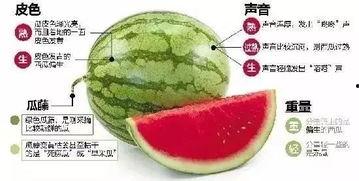 濮阳网红吃瓜群微信,揭秘网络社交圈的趣味与争议