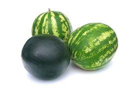 长兴网红吃瓜事件