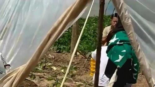 网红吃100斤瓜,场面壮观引热议