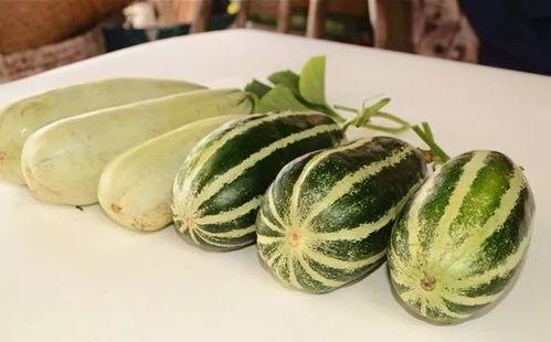 各类网红爆料吃瓜