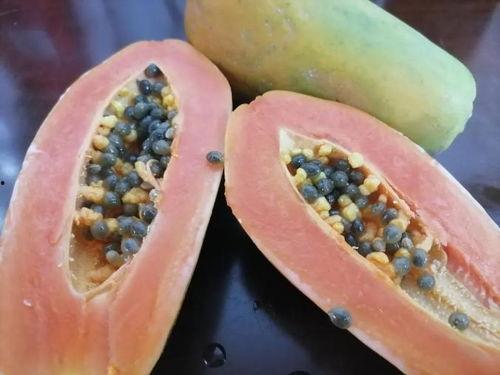 吃瓜网备用线路,畅享无阻的娱乐新体验