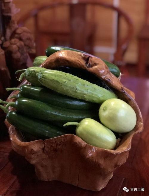 合租网红吃瓜,揭秘娱乐圈背后的真实生活