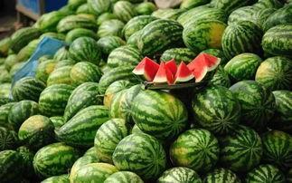 青海网红吃瓜事件真相揭秘