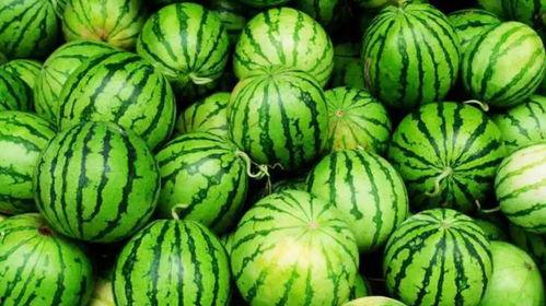 吃牛角瓜爆火的网红,网红美食引领潮流新风尚