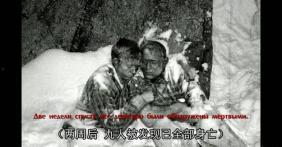 延安网红吃瓜事件真相视频,真相视频曝光背后的真相